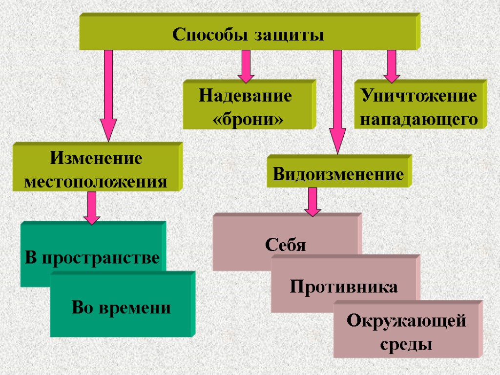 Способы защиты Видоизменение Уничтожение нападающего Изменение местоположения Надевание «брони» В пространстве Во времени Себя